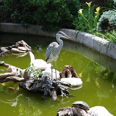 Al Giardino Hotel Fanna Luaran gambar